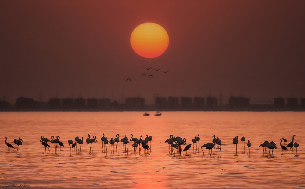 Remarkable sunset von Ahmed Thabet