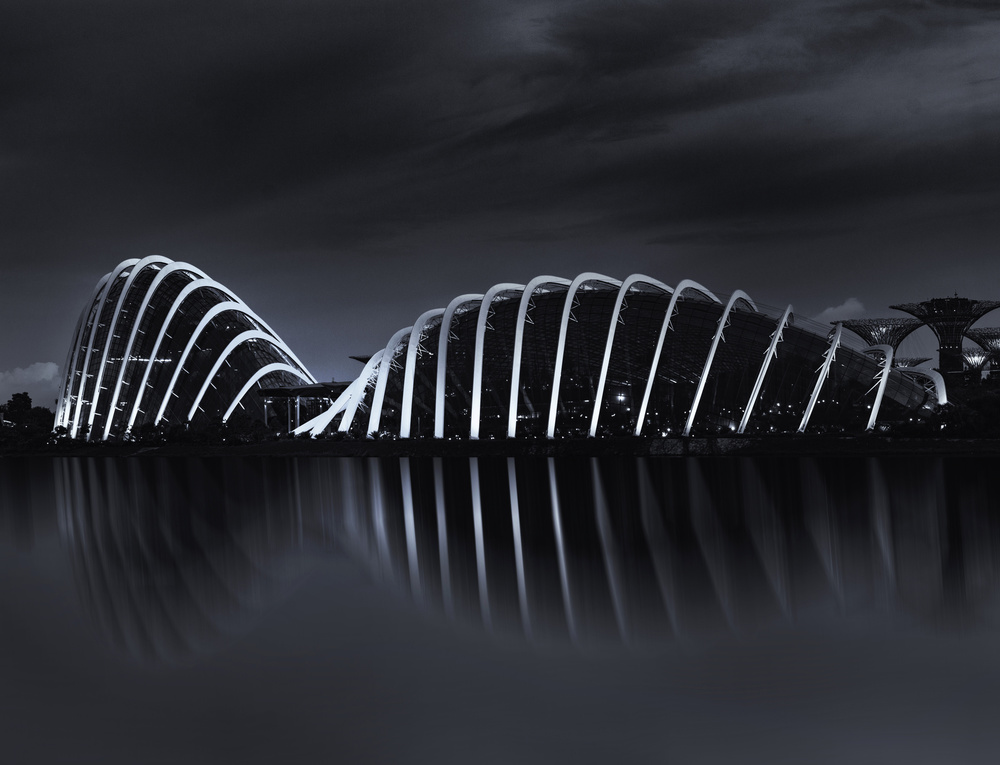 Garden by the bay von Ahmed Thabet