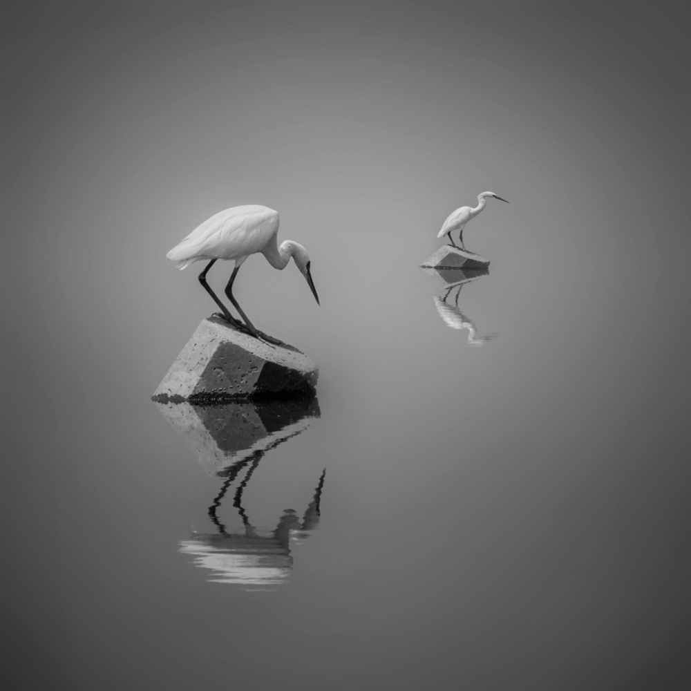 ME and me von Ahmed Thabet