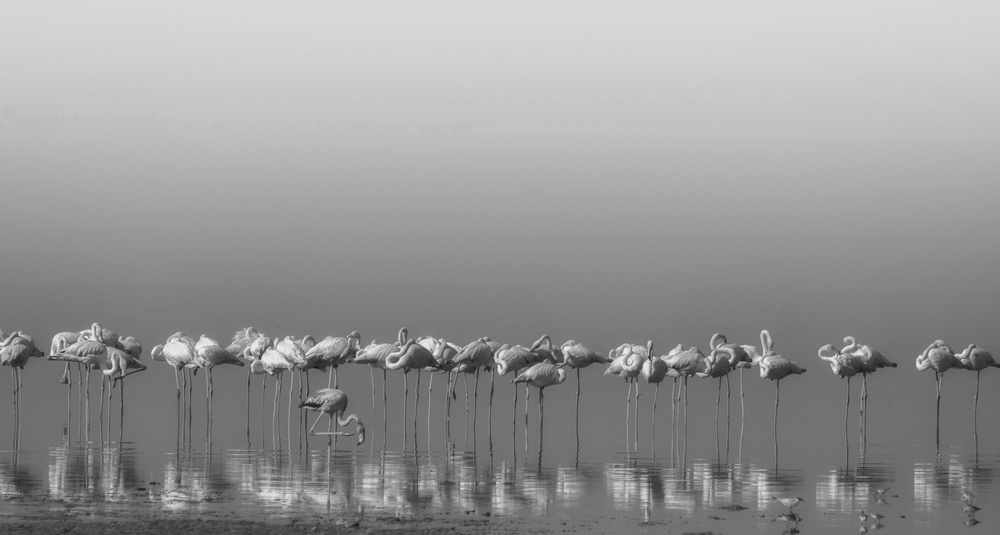 Comrades at cleaning time von Ahmed Thabet