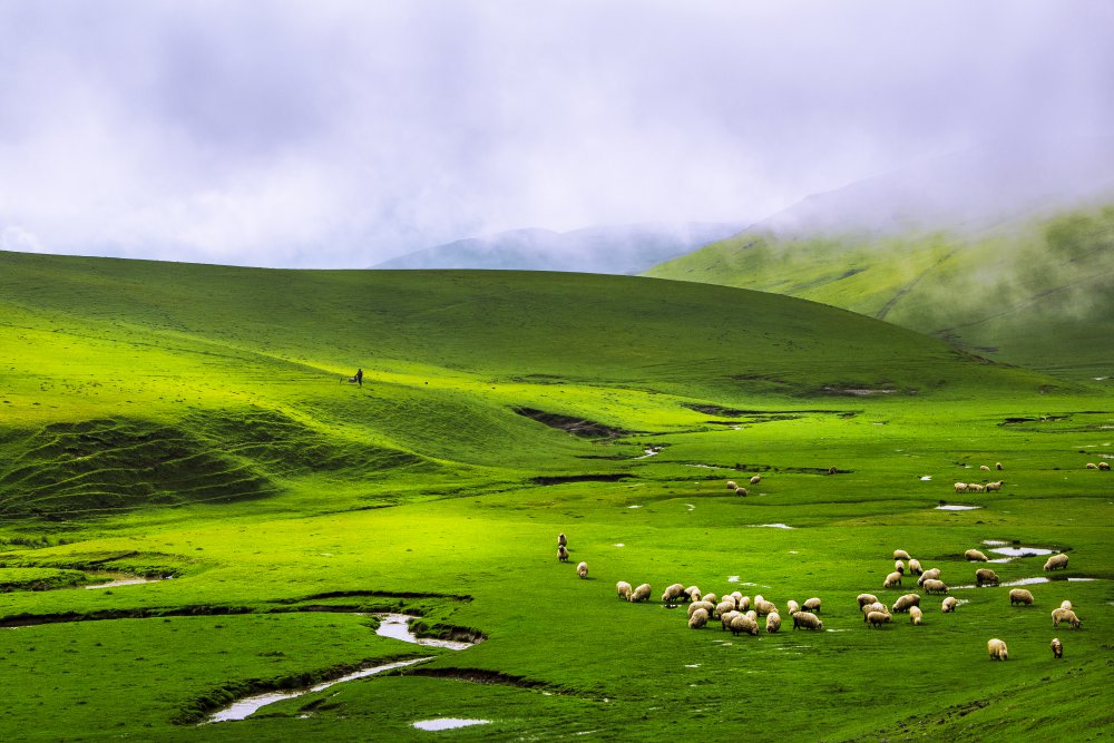 Yayla von Ahmet Durmaz