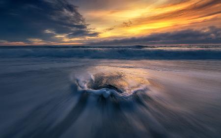 Blossom in the sea