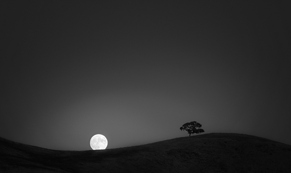 Harvest Moon von Aidong Ning