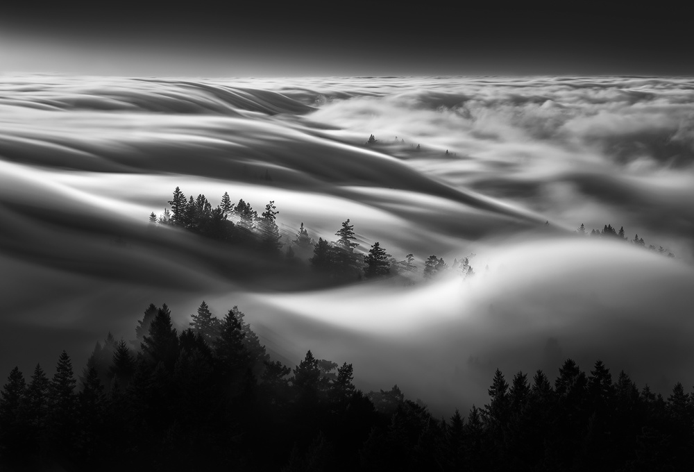 Fog Wave von Aidong Ning