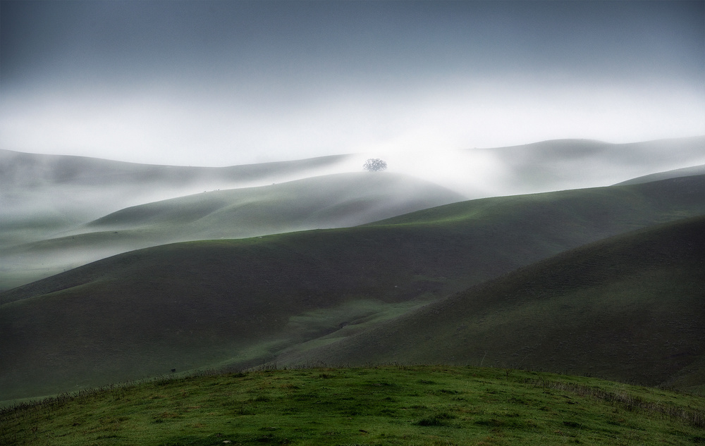 Rolling Hills and Fog von Aidong Ning