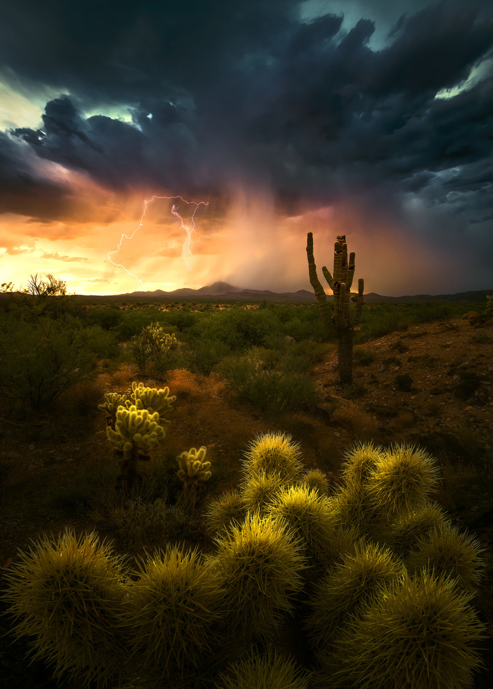 Storm over desert von Aidong Ning