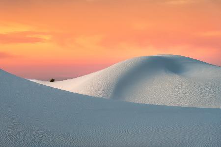 White Sands