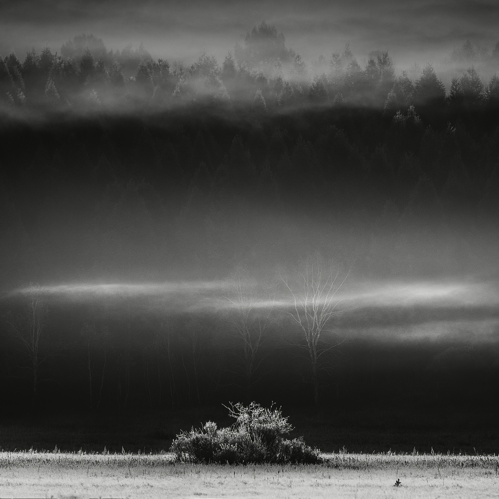 Morning fog on dam von Aijun Wang