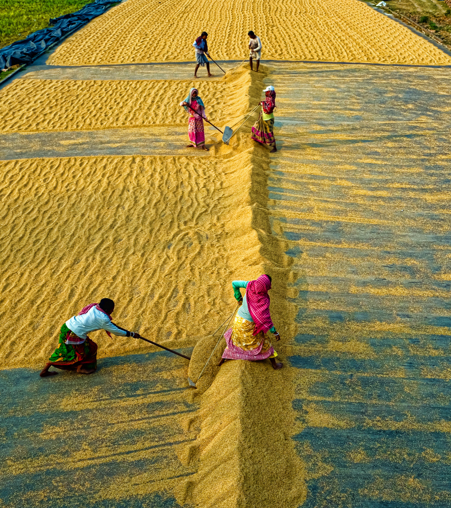 Village life von Ajit Kumar Majhi