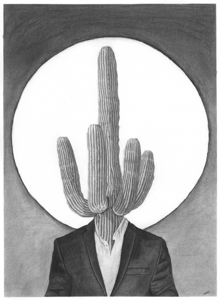 Cactus von Akin Durodola