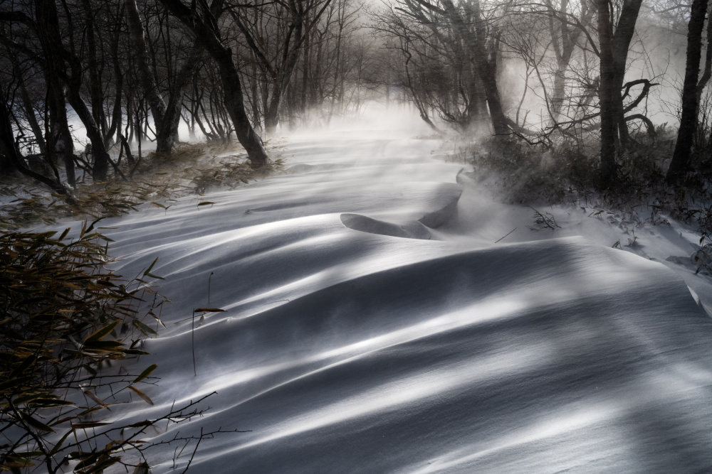 a snow pattern that shines out von Akira Nagase