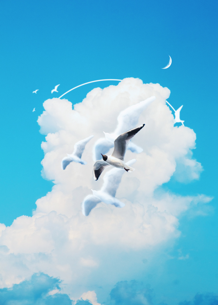 Fly Free Birds Cloud von Al Barizi