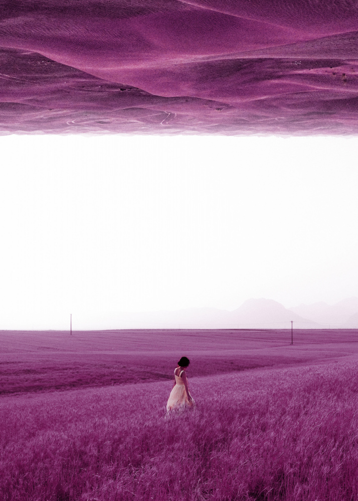 Purple Fields von Al Barizi