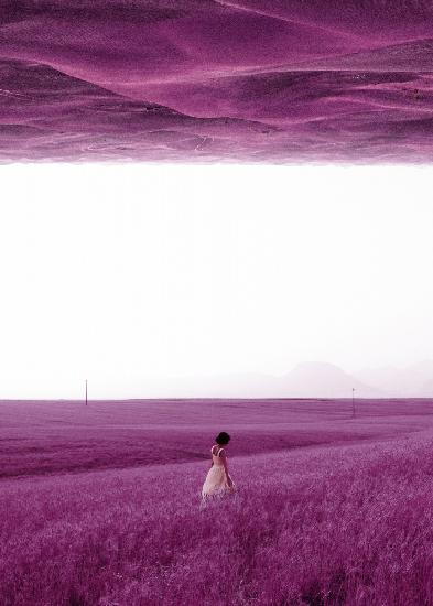 Purple Fields