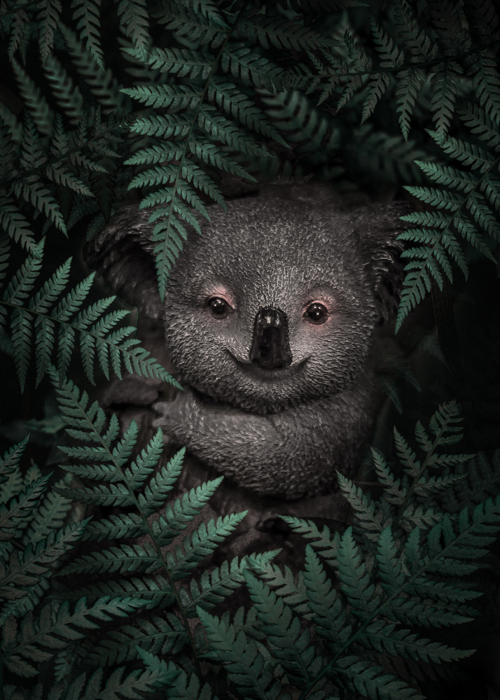 Cute Baby Koala von Al Barizi