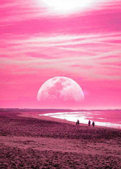 Pink Beach