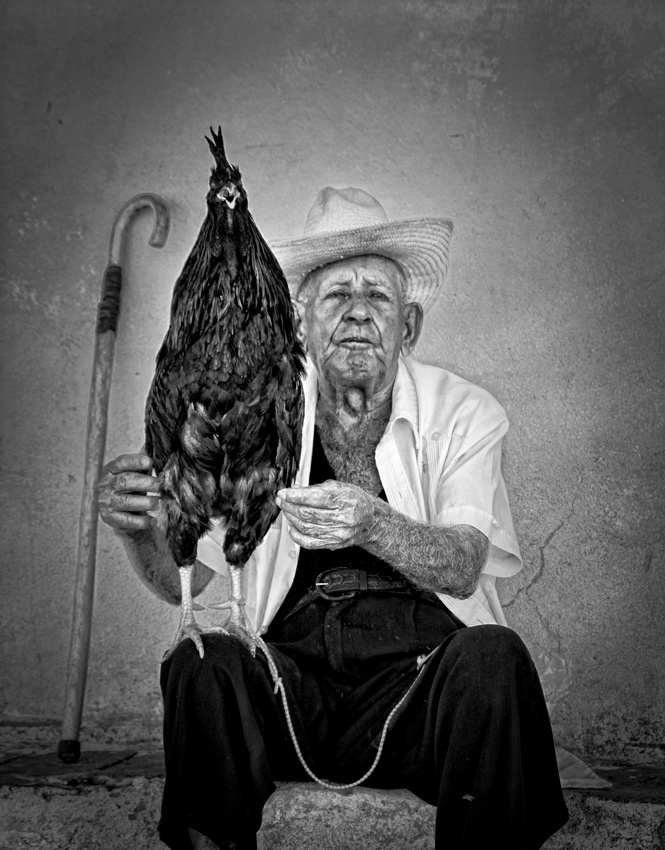 The old man with his figting cock von Alain Mazalrey