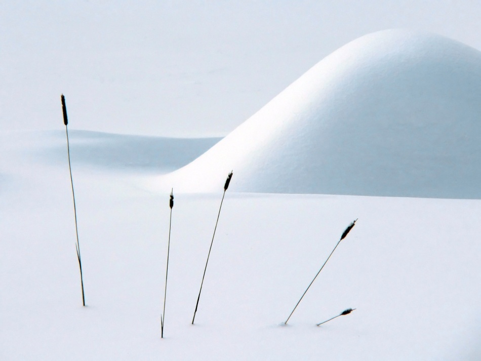 Still life in Winter von Alain Turgeon