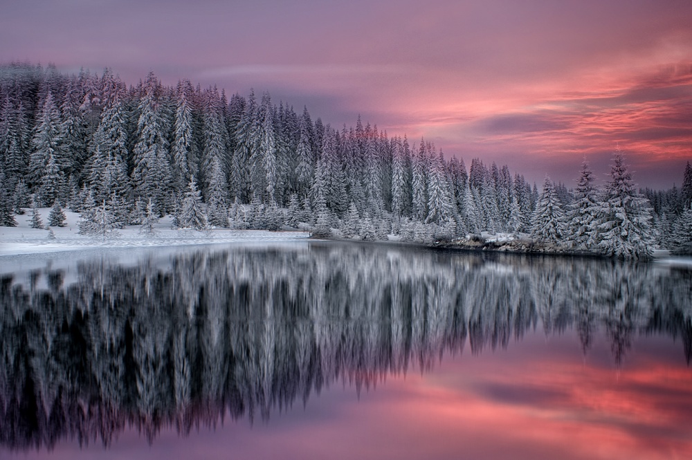 Winter Fairytale von Albena Markova