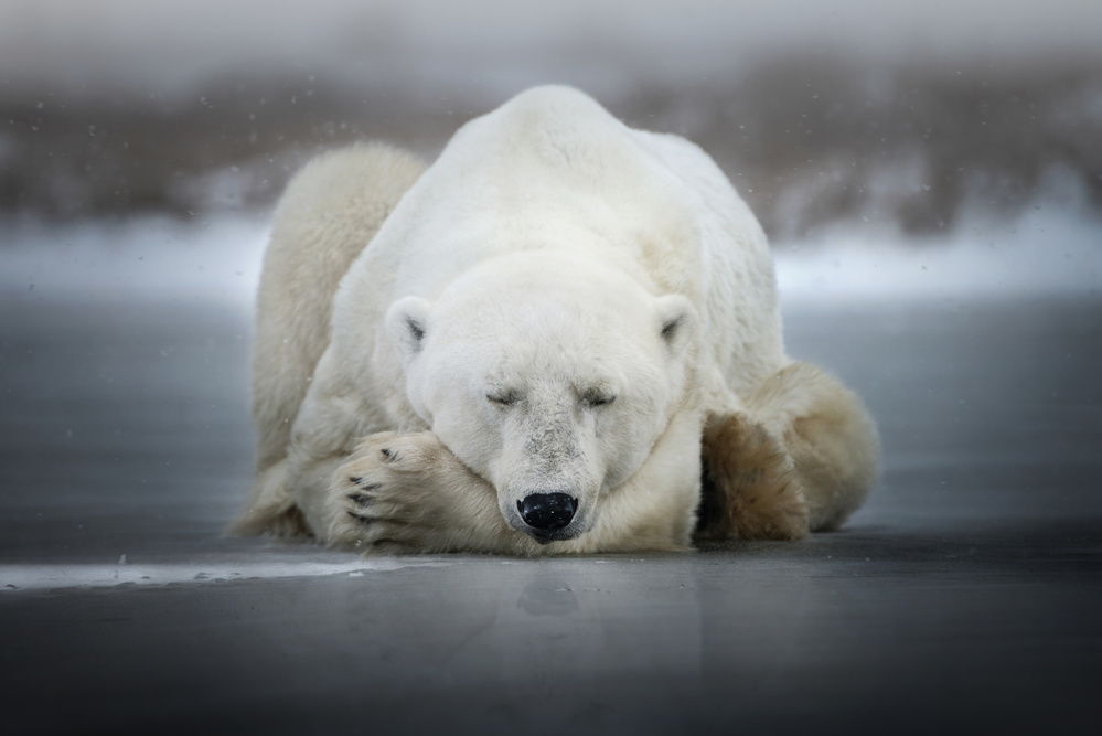 Dreaming alone von Alberto Ghizzi Panizza