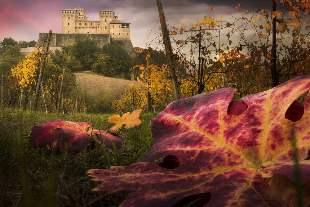 The colors tribute of the leaves von Alberto Ghizzi Panizza