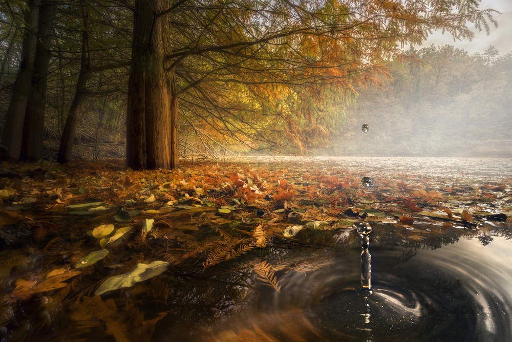 Drops between the autumn colors von Alberto Ghizzi Panizza