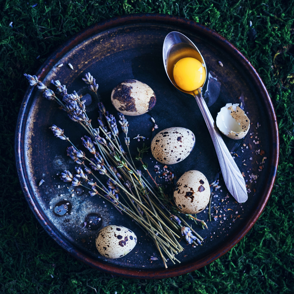 Farm still life von Aleksandrova Karina