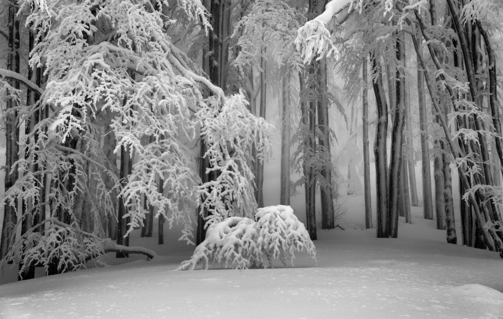 Perfect Winter von Aleš Klabus