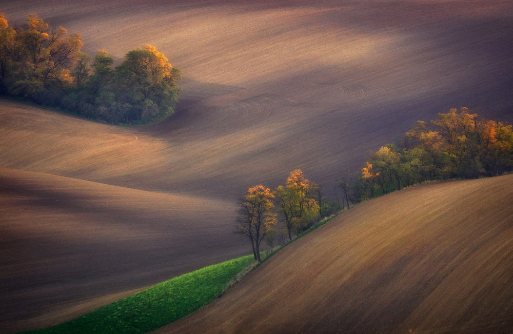 Fields of South Moravia von Ales Komovec