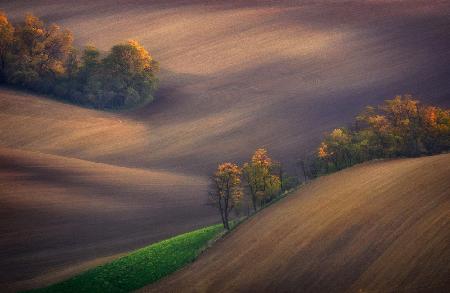 Fields of South Moravia