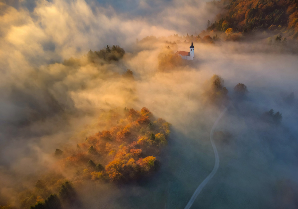 Autumn mists von Ales Komovec