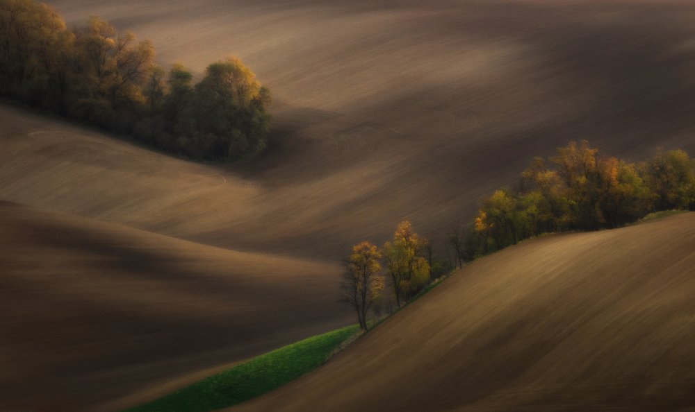 Moravian autumn von Ales Komovec