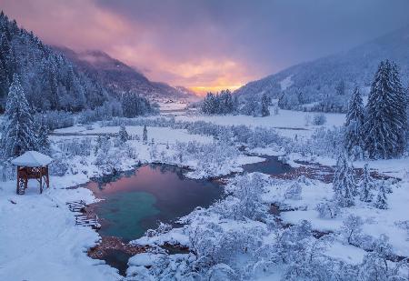 Winter morning