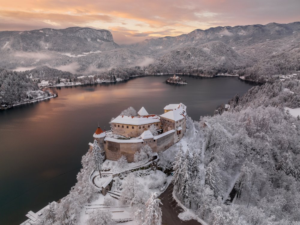 Lake Bled and the castle above it von Ales Krivec