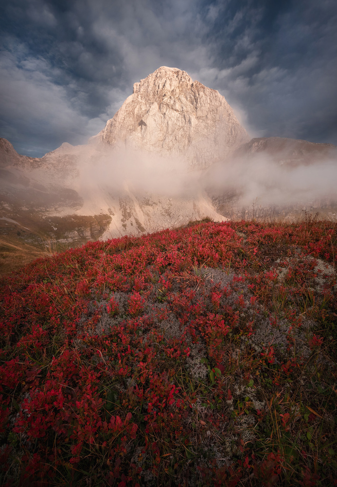 Autumn in the mountains von Ales Krivec