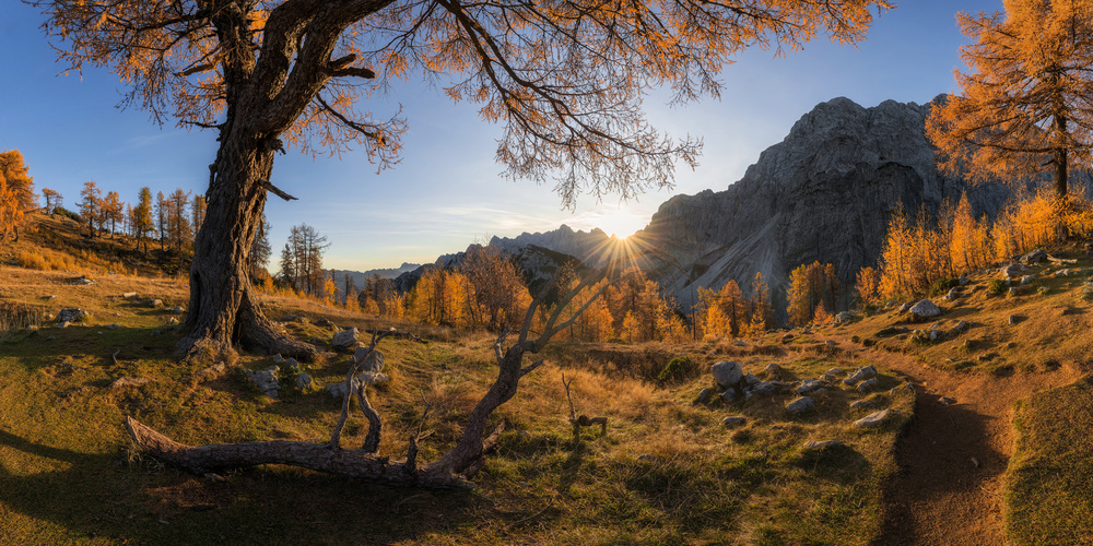 Autumn paradise von Ales Krivec