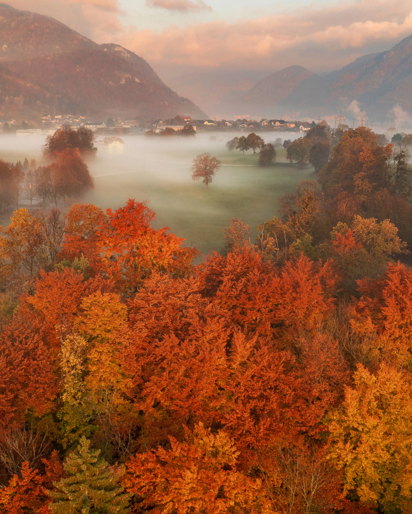 Autumn frame von Ales Krivec