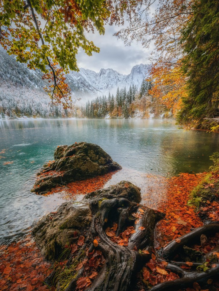 Autumn layers von Ales Krivec