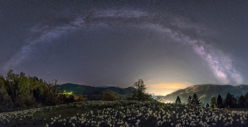 Milky way and daffodils von Ales Krivec