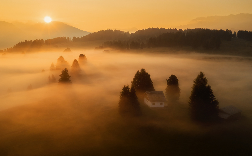 Morning mist von Ales Krivec