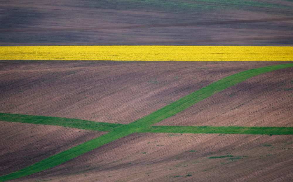 Painting the fields von Ales Krivec