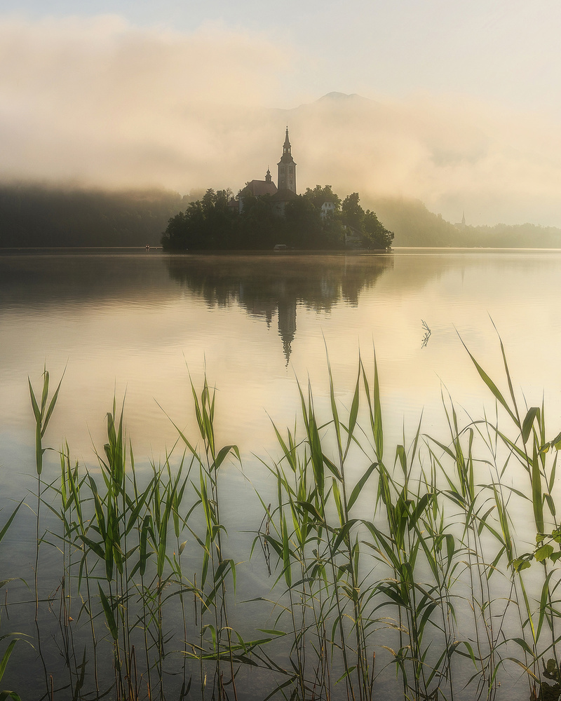 Summer morning at Lake Bled von Ales Krivec