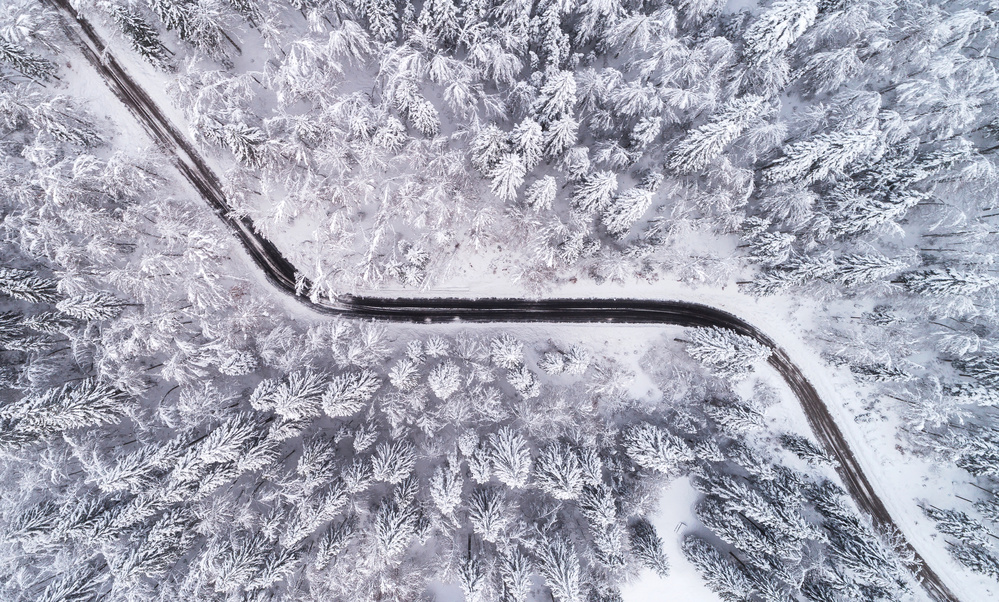 Road through the winter forest von Ales Krivec