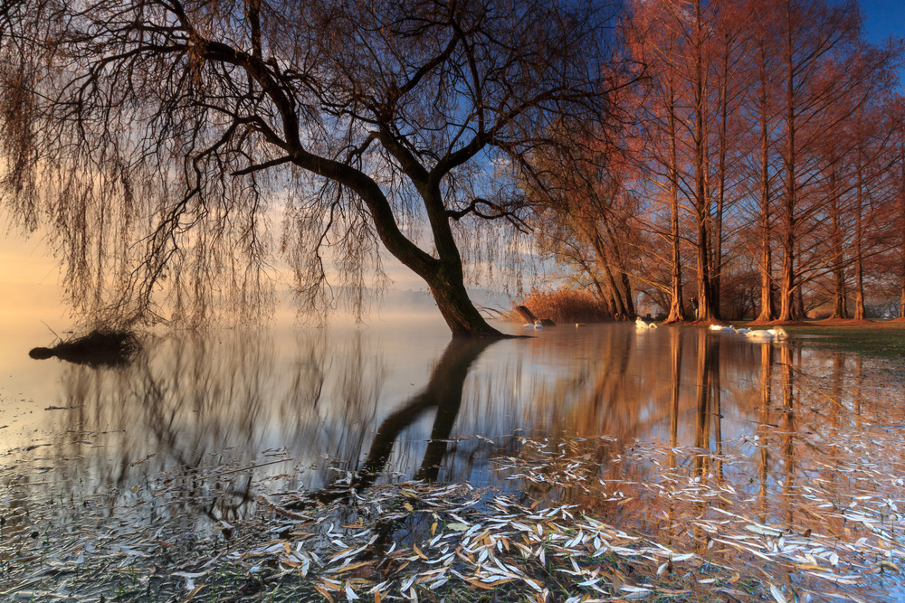 the first light von Alessandro Bergamin