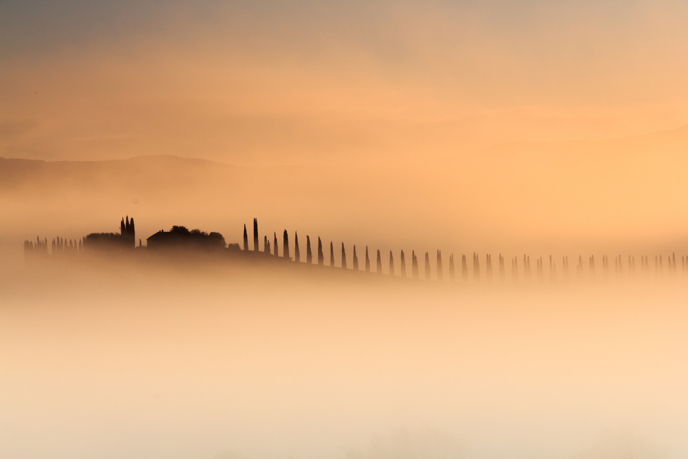 Foggy sunrise von Alessandro Bergamin