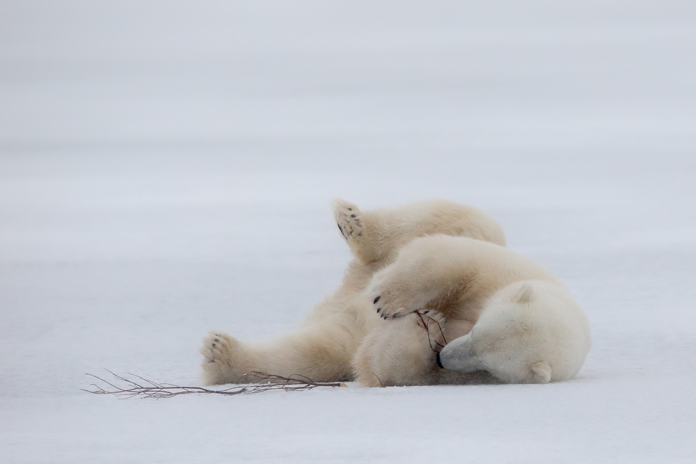 Lazy Play von Alessandro Catta