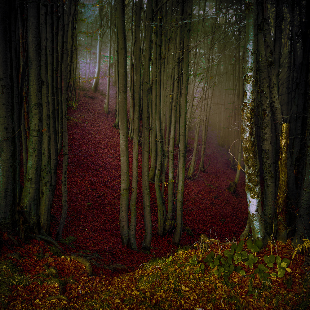 Autumn Nostalgia von Alessandro Traverso