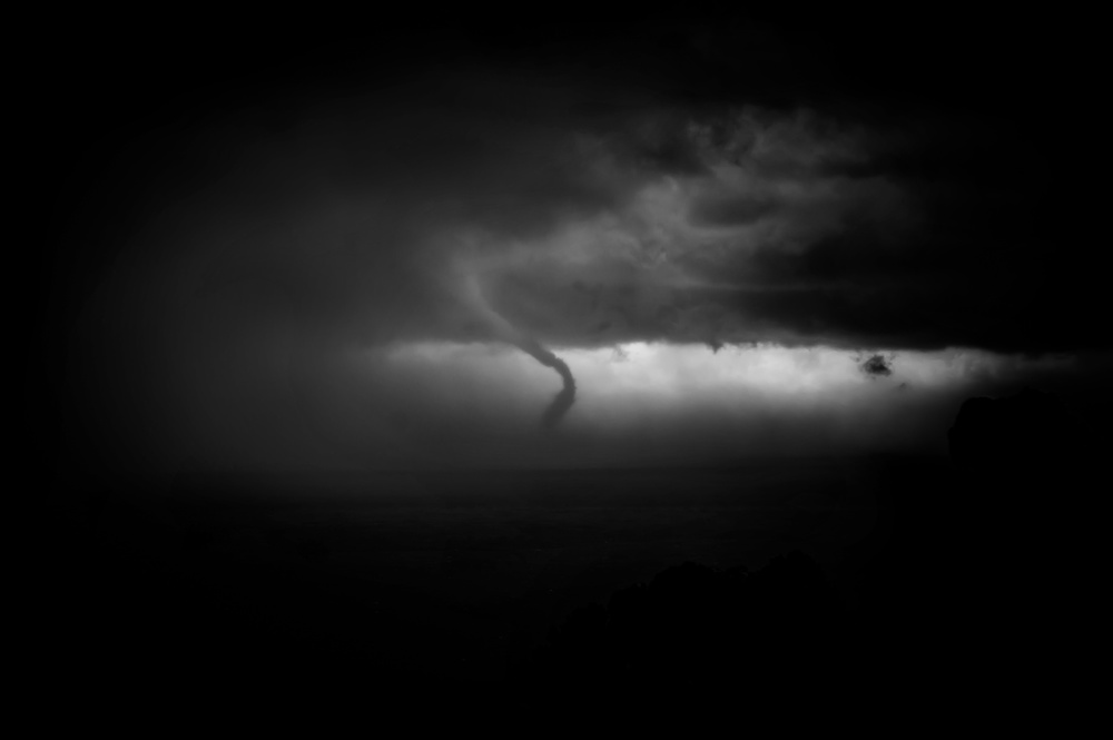 Marine trumpet off Genoa von Alessandro Traverso