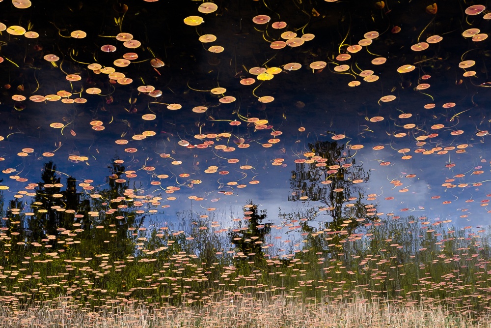 Phantom Lake von Alex Levine