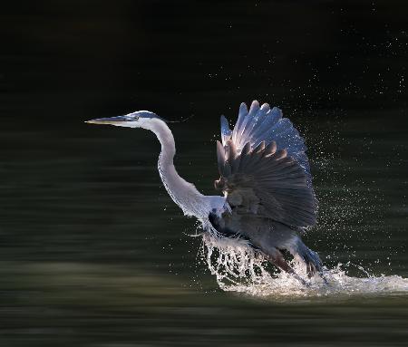 Taking Off